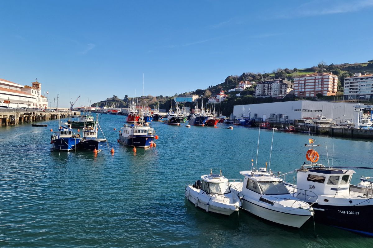 Puerto de Bermeo, con barcos fondeados y el casco urbano
